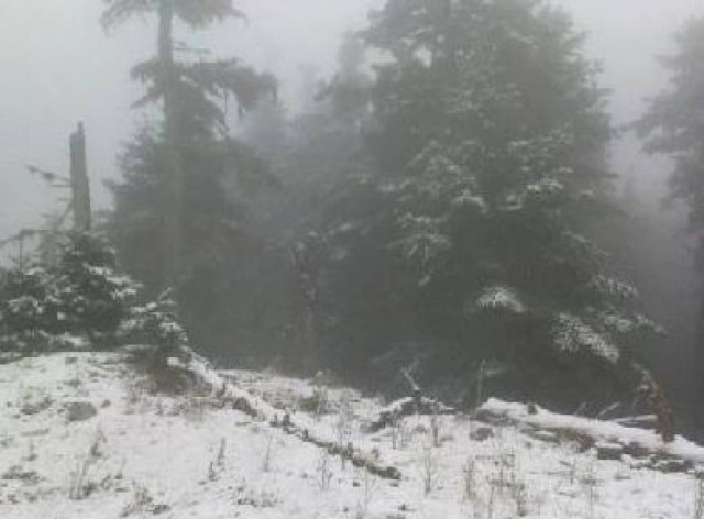 Έπεσαν τα πρώτα χιόνια