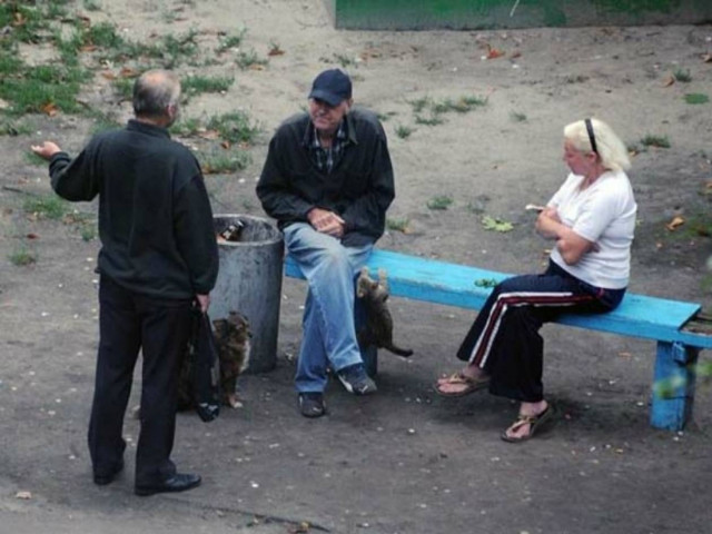 Τι... ζει ένα παγκάκι μέσα σε τέσσερα χρόνια (pics)