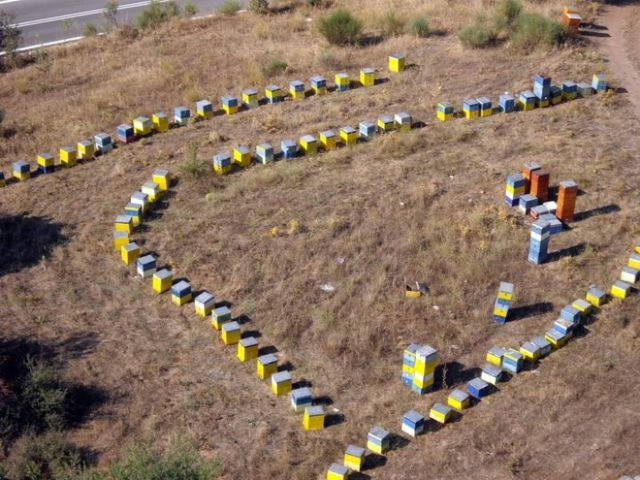 Κλέβουν ακόμα και τα μελίσσια!