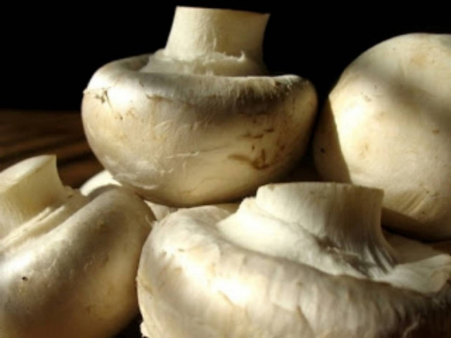 10 τροφές της εποχής που θα σε βοηθήσουν να αδυνατίσεις