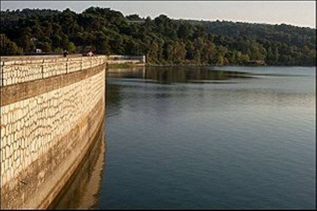 Πέταγαν νεκρά πτηνά στη λίμνη του Μαραθώνα!