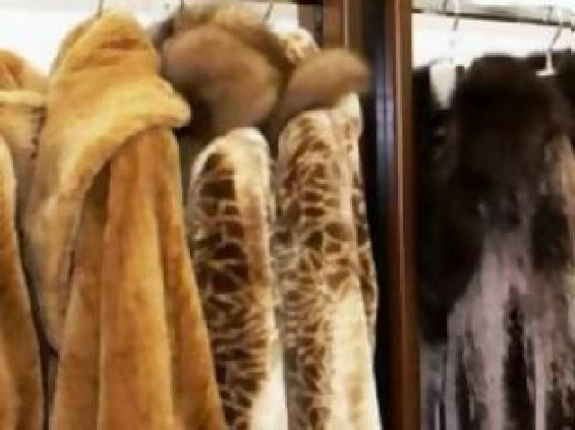 Βίντεο: Απίστευτο! Δείτε πως έκλεψε ολόκληρη γούνα!