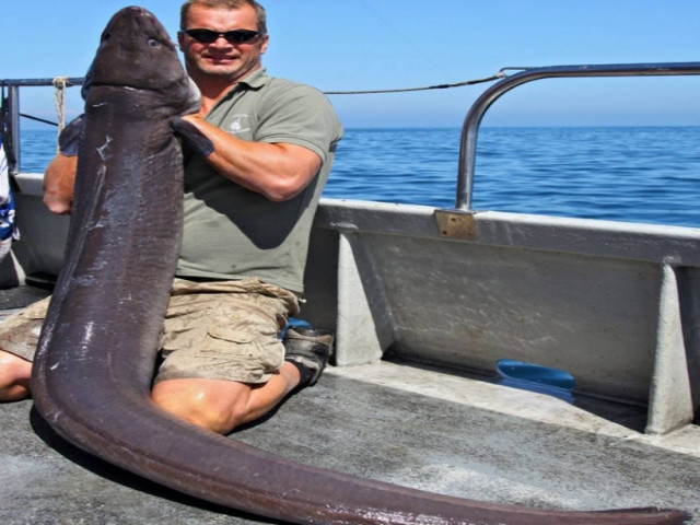 Απίστευτο: Έπιασε χέλι 43 κιλών!