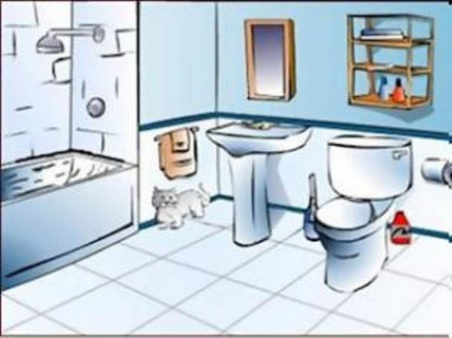 Απίστευτο: Το νερό της τουαλέτας, πιο καθαρό από τα παγάκια!