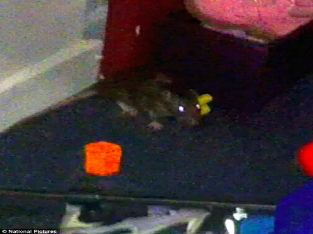 Σοκαριστικό: Τεράστιος αρουραίος επιτέθηκε στο μωρό της! (pics)