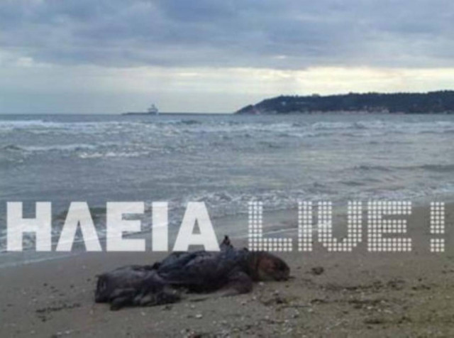 Άλλη μία νεκρή καρέτα-καρέτα