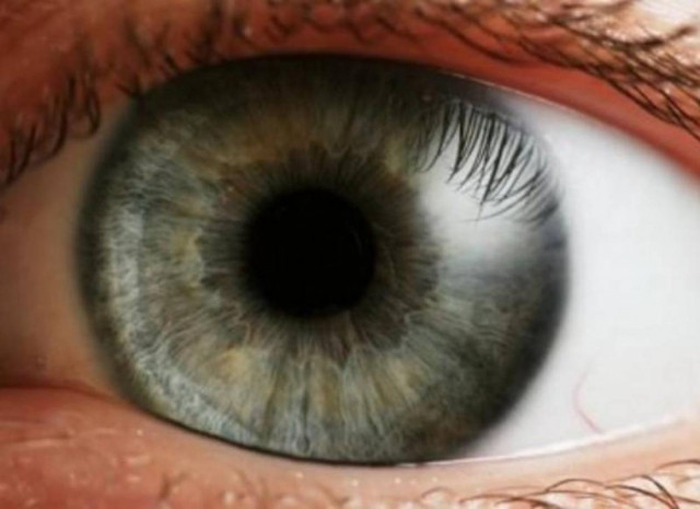 Αφαίρεσαν ζωντανό σκουλήκι από το μάτι ασθενή