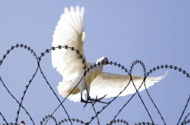 Αισιοδοξία για εκεχειρία στη Γάζα