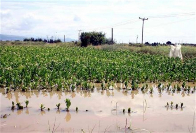 Πληρωμές αποζημιώσεων 10 εκ. ευρώ στους αγρότες