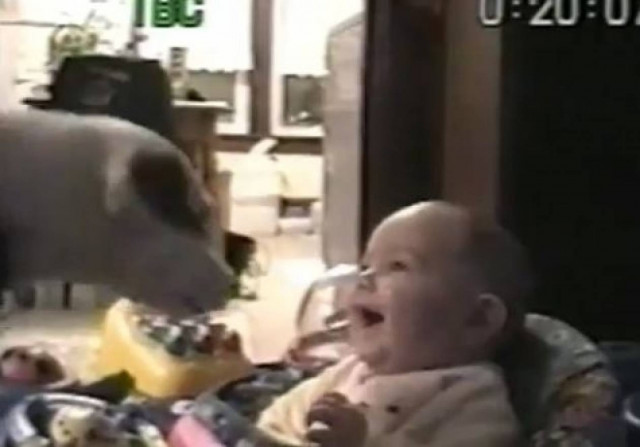 Βίντεο: Ο σκύλος φιλάει το μωρό