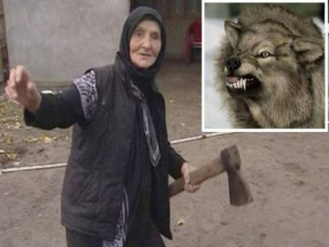 Σούπερ-γιαγιά! Πάλεψε με τα χέρια της με έναν λύκο!