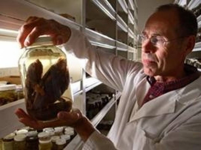 Άγνωστη εν έτει 2012 η ζωή στους ωκεανούς