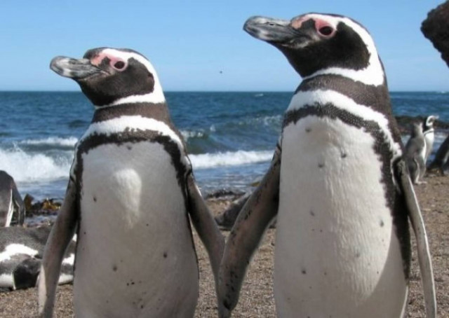 Το πιο αγαπημένο ζευγάρι στον κόσμο