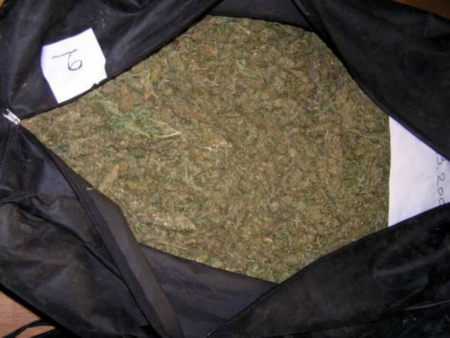 Η Πελοπόννησος στην τρίτη θέση σε παραγωγή... χασίς!