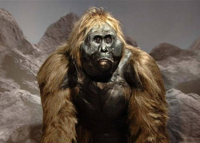 Είδαν τον Μεγαλοπόδαρο σε δάσος της Βρετανίας