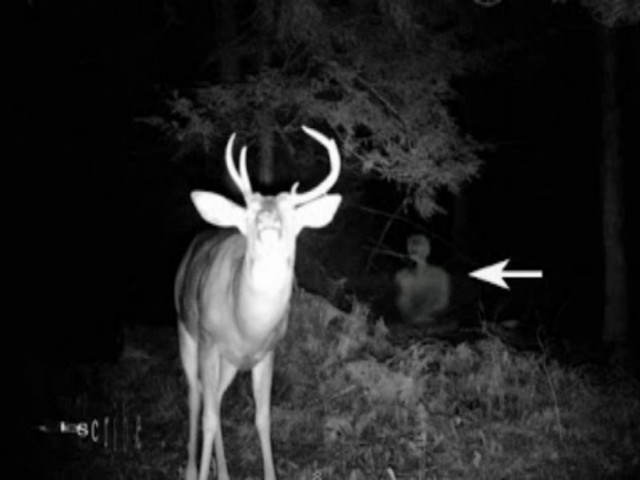 Βίντεο: Περίεργο πλάσμα εμφανίστηκε σε εθνικό πάρκο