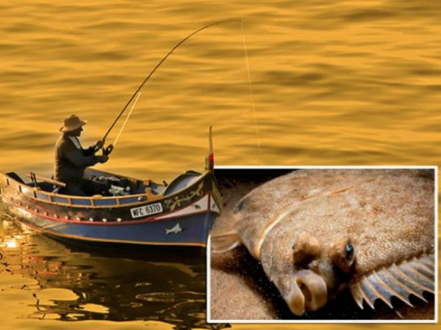 Ανατριχιαστική ιστορία: Αυτό το ψάρι τον σκότωσε - Μάθε πως!