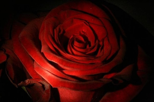 Daily Mail: Η ιστορία ενός πλατωνικού έρωτα με άδοξο τέλος