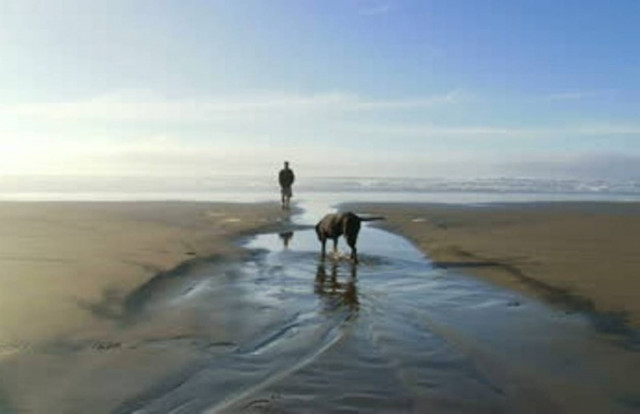 Πνίγηκαν ενώ προσπαθούσαν να σώσουν το σκύλο τους