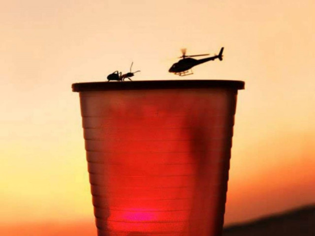 Απίθανες οφθαλμαπάτες που θα σας καθηλώσουν!