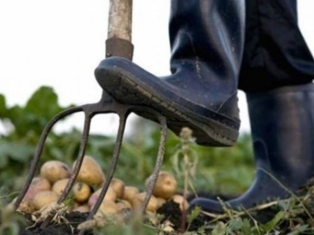 Απίστευτο: Δήμος με... 3.500 κηπουρούς!