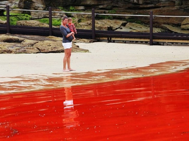 Θάλασσα βαμμένη με «αίμα…»! (pic)