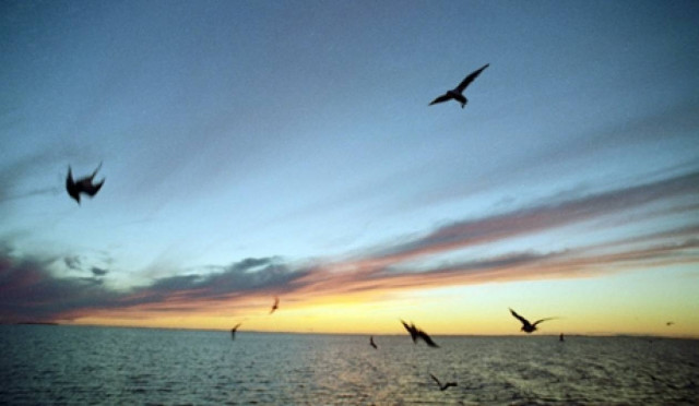 Οι επιστήμονες εντόπισαν ζωή στη λίμνη της Ανταρκτικής