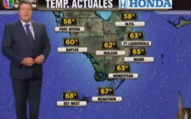 Βίντεο: Γάτα μπούκαρε σε στούντιο δελτίου ειδήσεων