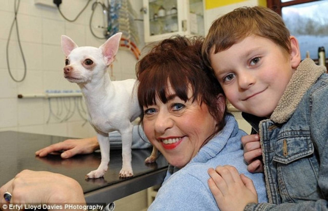 «O Θεός γιάτρεψε στο σκύλο μου», λέει μια Βρετανίδα