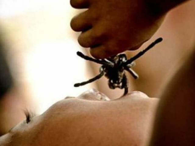 ΑΝΑΤΡΙΧΙΑΣΤΙΚΕΣ ΕΙΚΟΝΕΣ: Παιδιά τρώνε δηλητηριώδεις ταραντούλες!