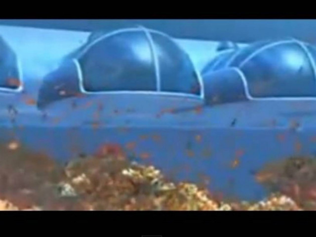 Εκπληκτικό: Διακοπές στο βυθό της θάλασσας! (vid)