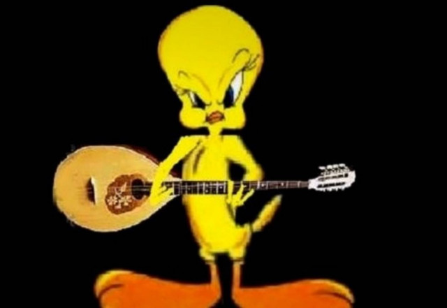 Το πουλάκι τσίου ... μέθυσε!