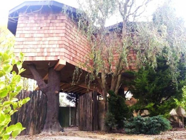 Οικογένεια μετακόμισε σε… δεντρόσπιτο!