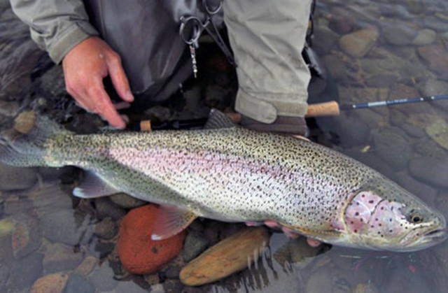 Σοκ: Ψαράδες έγιναν κανίβαλοι για να επιβιώσουν