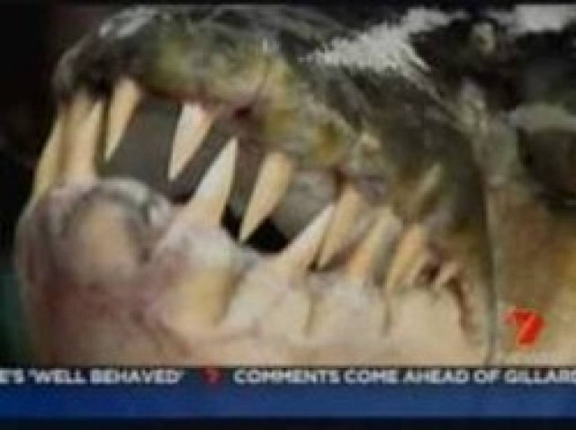 Βίντεο: Το πιο τρομακτικό πλάσμα της θάλασσας που έχετε δει ποτέ!