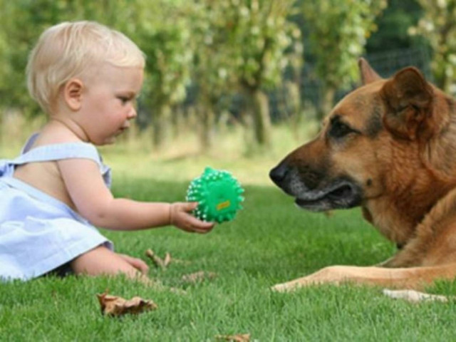 «Σπίθας»: Το σκυλάκι που έκανε τον μικρό Φώτη να ξαναμιλήσει