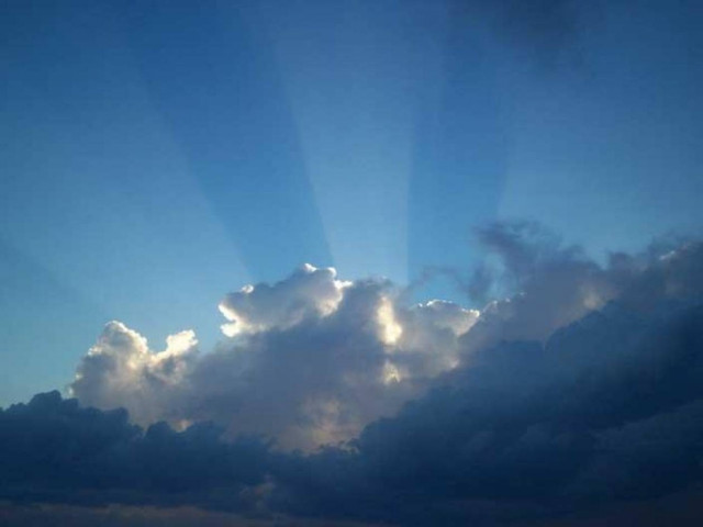 Δείτε το μικρότερο πουλί στον κόσμο!