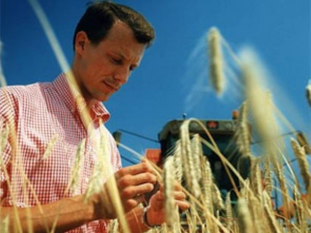 Πρόγραμμα υποστήριξης για νέους γεωργούς μελετά η κυβέρνηση