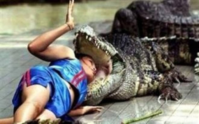 Απίθανες φωτογραφίες: Άνθρωποι που φλερτάρουν με τον θάνατο