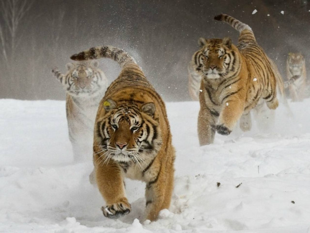 Sony World Photography Awards 2013: Τελευταία πρόσκληση για συμμετοχή