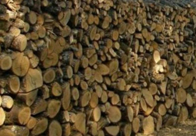 Αστυνομικοί κόβουν ξύλα για να ζεσταθούν!