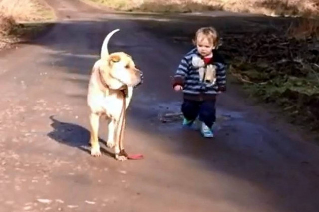 Δείτε: Αυτό το βίντεο σίγουρα θα σας... φτιάξει την ημέρα