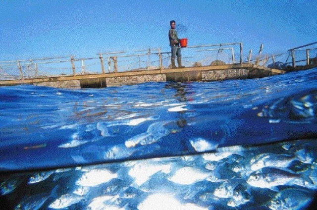 Υπογραφή δύο αποφάσεων για τις υδατοκαλλιέργειες