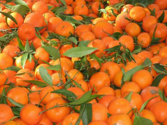 Να πώς γίνονται πλούσιοι οι Αλβανοί στην Ελλάδα!