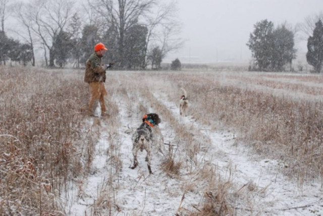 Aπαγόρευσαν το κυνήγι λόγω… χιονόπτωσης!