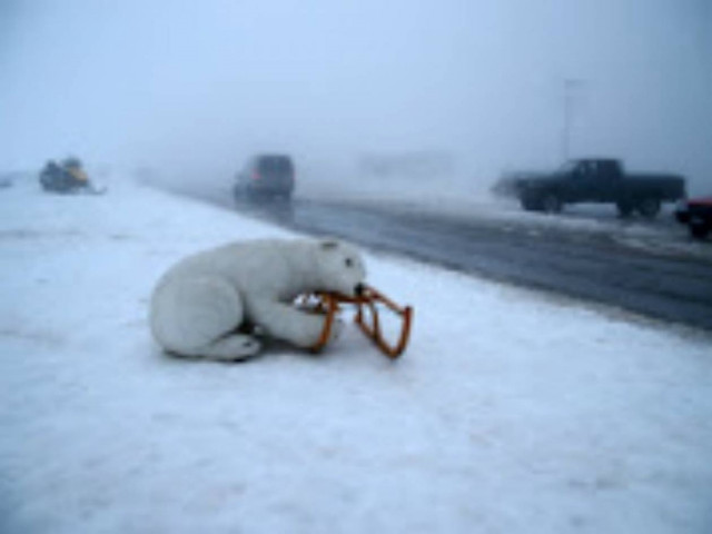 Συναγερμός στο Μέτσοβο για μια... ψεύτικη αρκούδα! (pic)