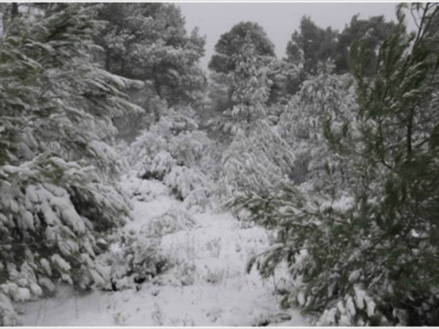 Χιόνια και στην Αττική σήμερα!
