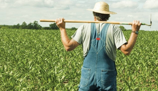 ΕΛΓΑ: Αποζημιώσεις 13 εκατ. ευρώ σε 10.000 αγρότες