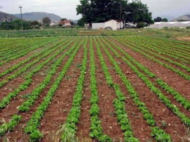 Σπάρτη: Ξεκίνησε το πρόγραμμα απασχόλησης ανέργων εργατών γης