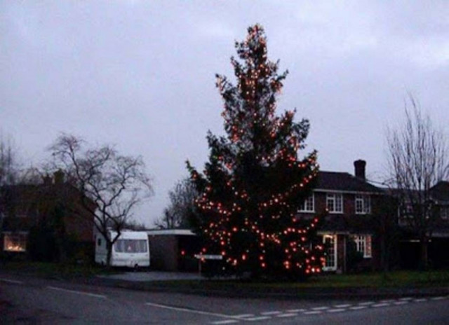 Το είχαν φυτέψει πριν 30 χρόνια και τώρα το στολίζουν όλοι μαζί!(pics)